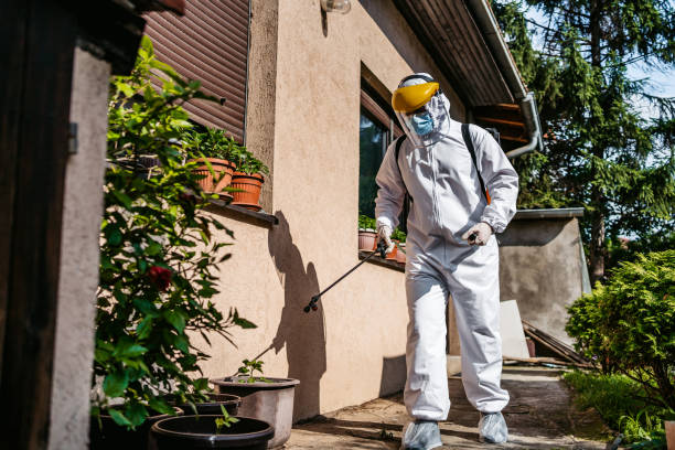Trusted Midfield, AL Pest Control Experts