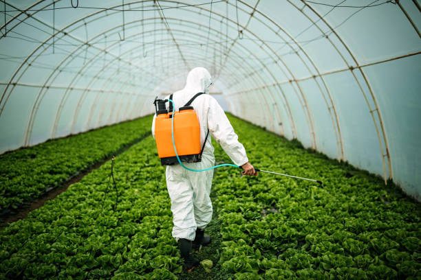 Best Pest Inspection Near Me  in Midfield, AL