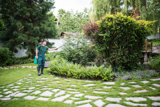 Best Mosquito Control Services  in Midfield, AL