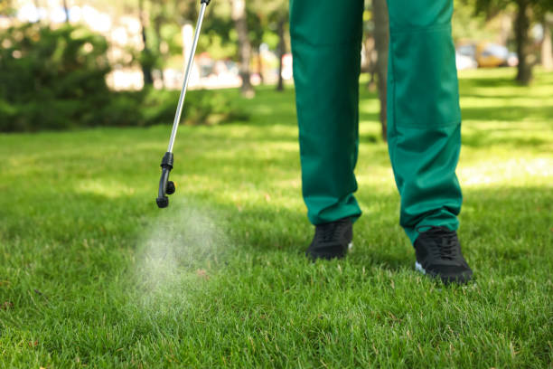Best Pest Control Near Me  in Midfield, AL