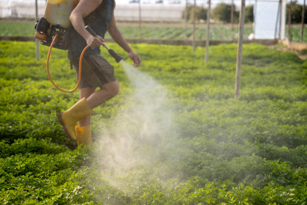 Best Affordable Pest Control Services  in Midfield, AL