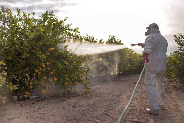 Best Bed Bug Extermination  in Midfield, AL