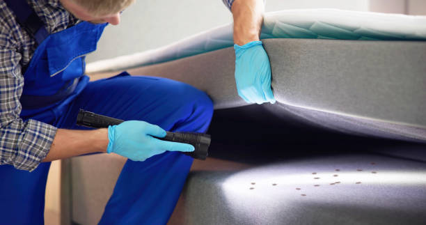 Best Cockroach Control Services  in Midfield, AL