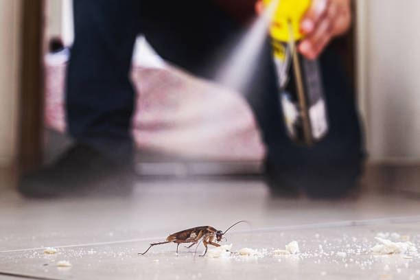 Best Pest Removal Services  in Midfield, AL