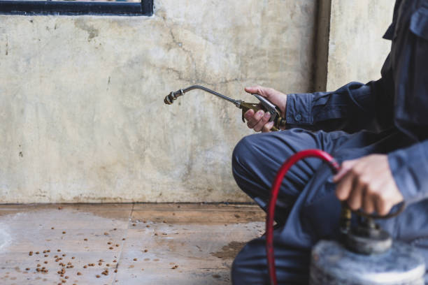 Best Pest Prevention Services  in Midfield, AL